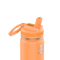 Actives Water Bottle With Straw Lid N1